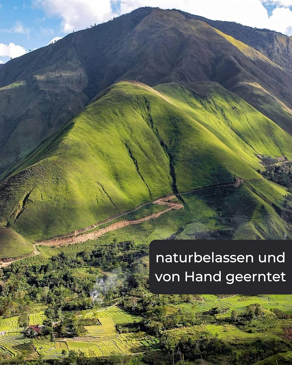 Benzoe Sumatra Räucherharz