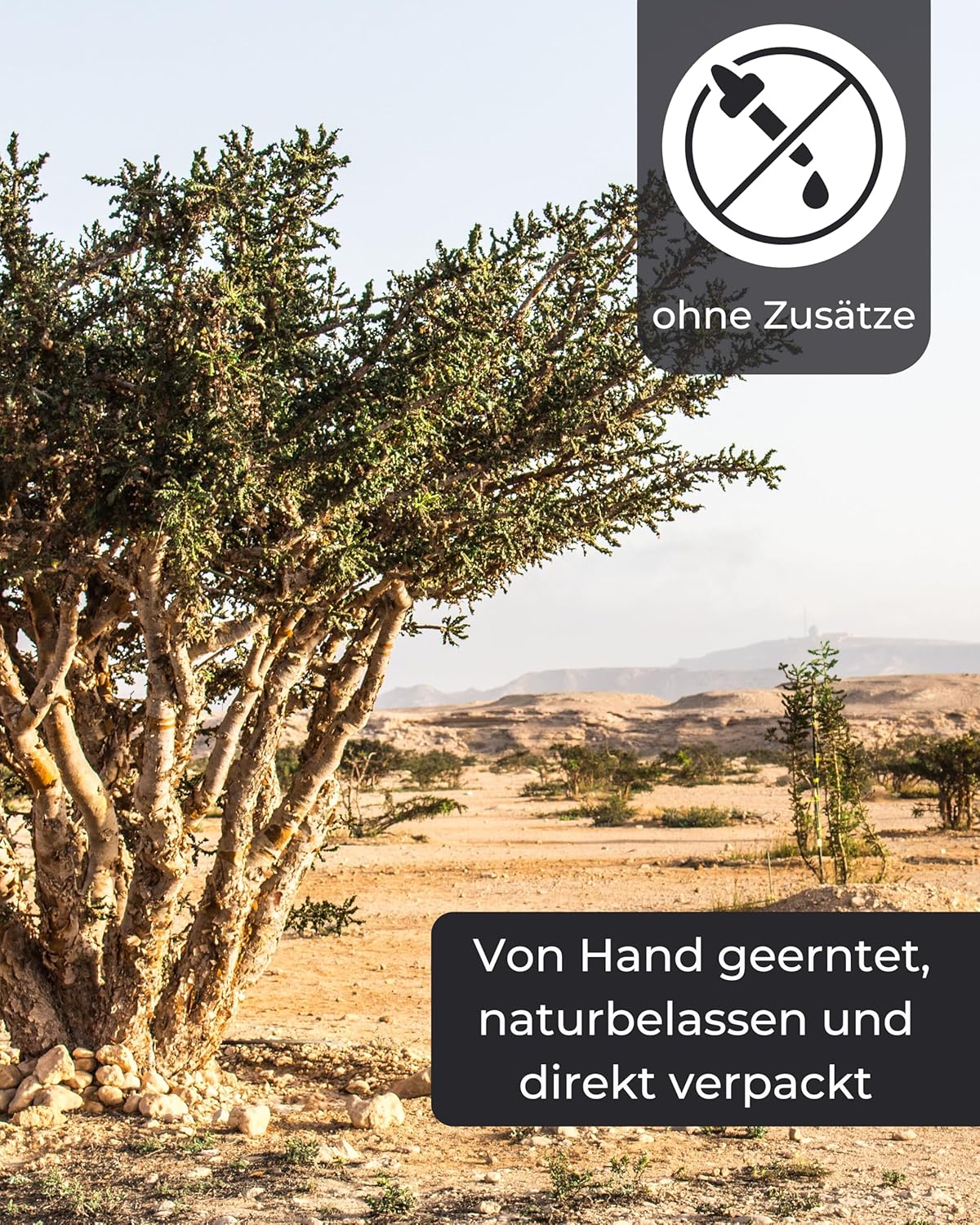 Weihrauch Set – Myrrhe & Weihrauch aus Äthiopien & Oman für Rituale & Reinigung