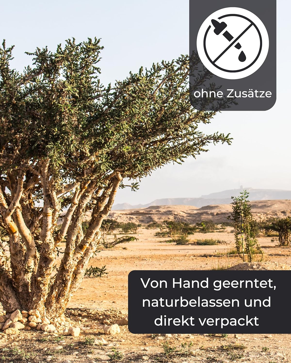 Weihrauch Äthiopien 100 g – Naturreines Boswellia Harz in Kirchenqualität