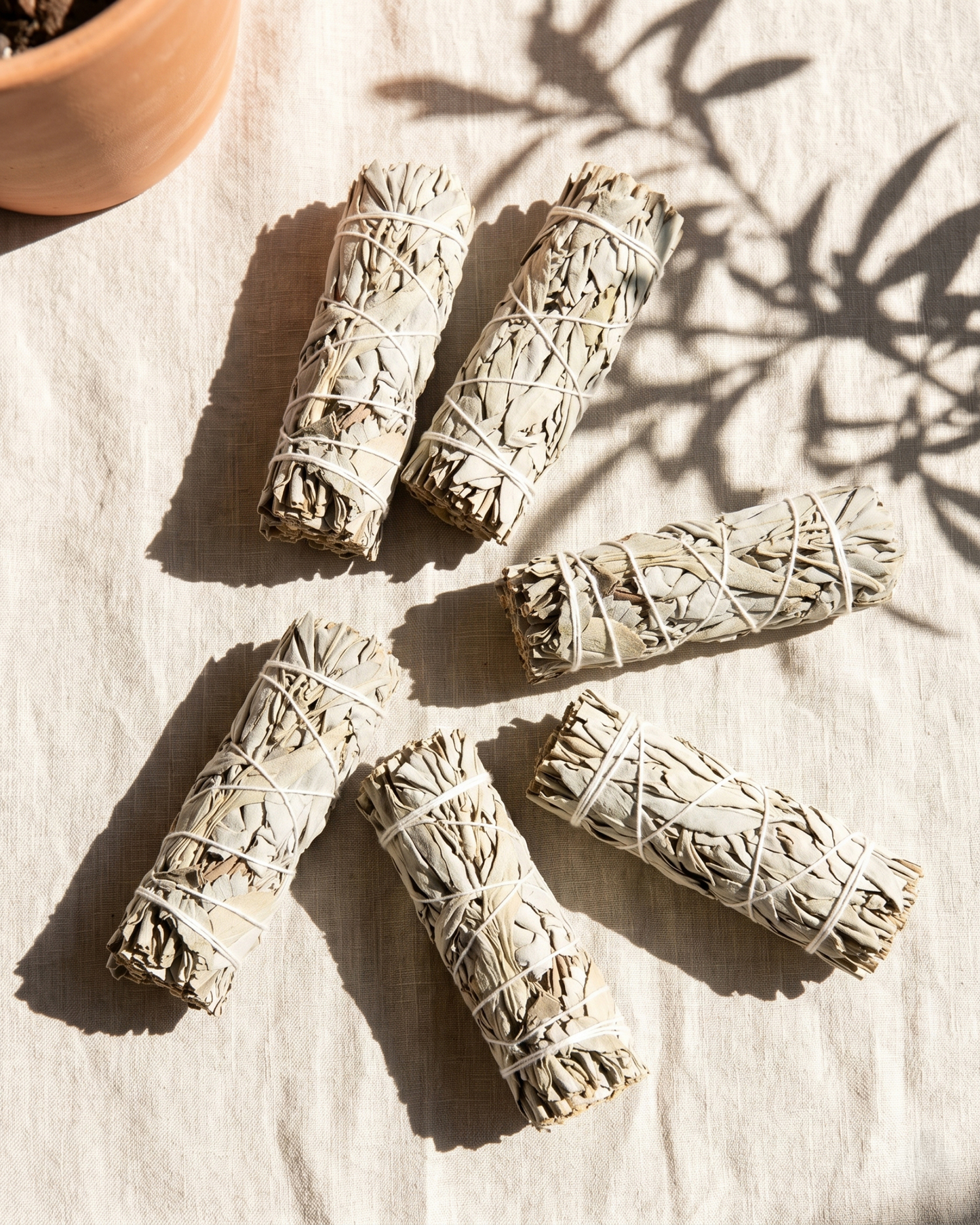 3 Pieces Dried Sage Bundles - White Sage Smudge Stick Set