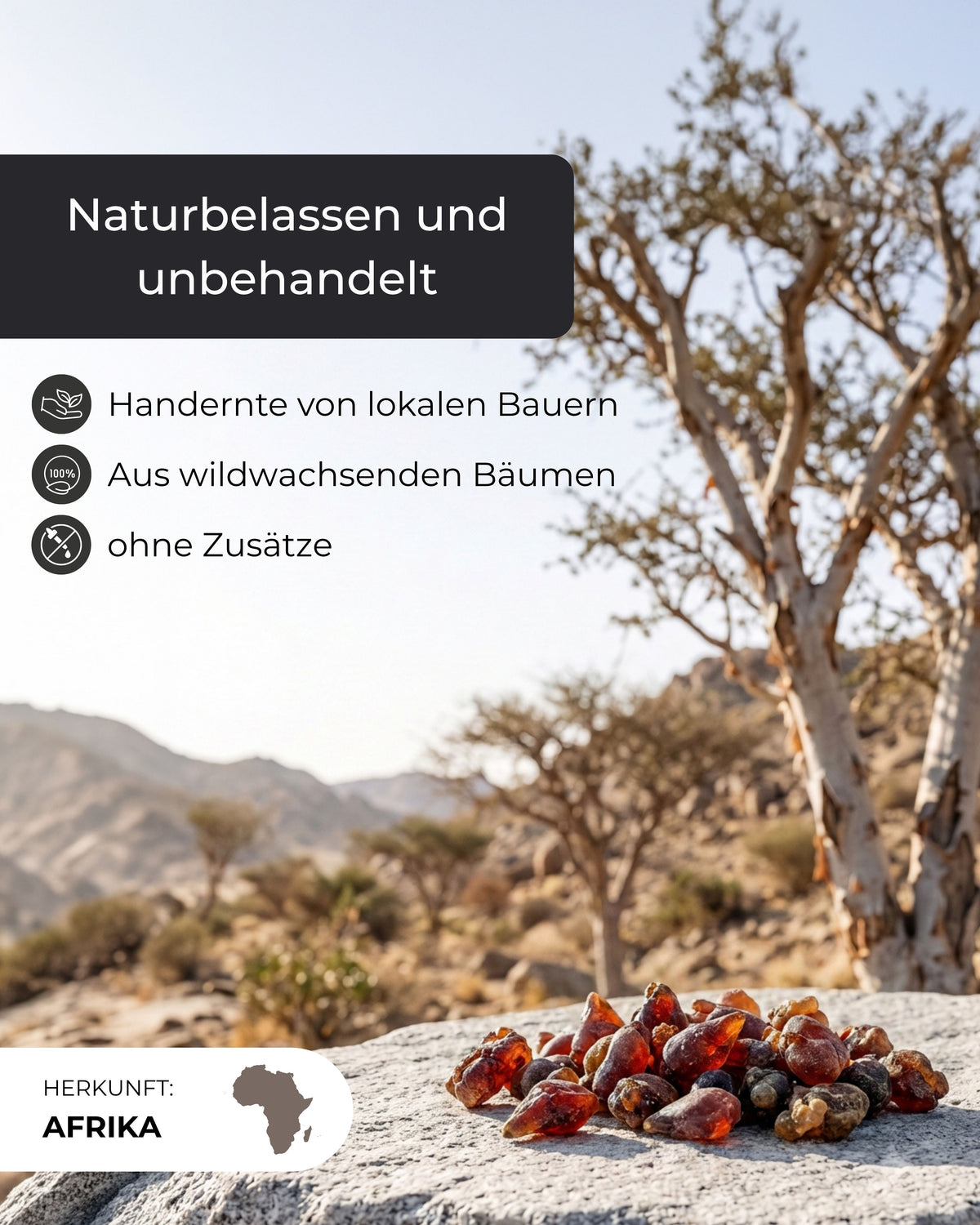 Myrrheharzstücke auf einem Felsen vor afrikanischer Trockenlandschaft mit Myrrhenbäumen, Text betont Handernte von lokalen Bauern aus wildwachsenden Bäumen ohne Zusätze